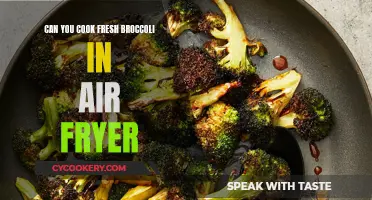 Air Fryer Magic: Cooking Fresh Broccoli to Perfection