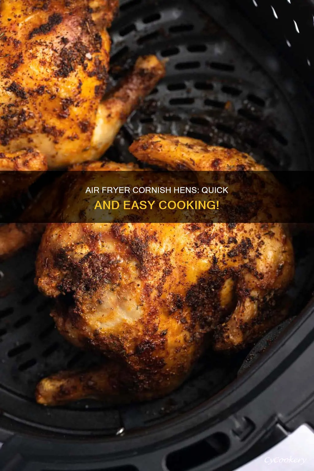 can you cook frozen cornish hens in air fryer