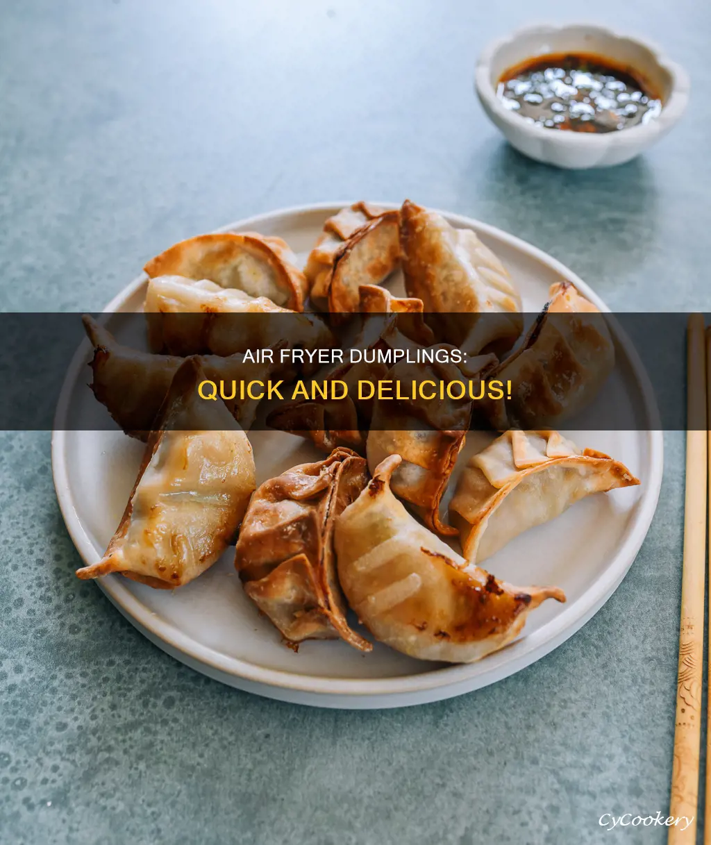 can you cook frozen dumplings in air fryer