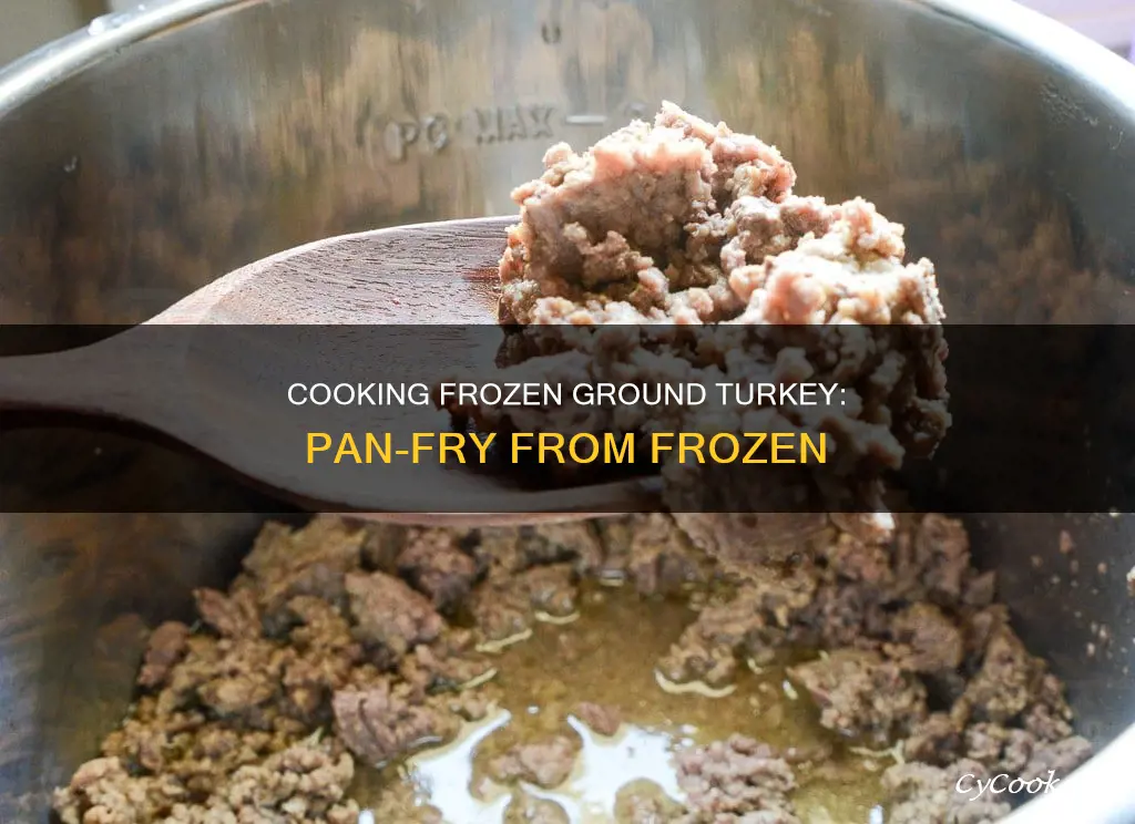 can you cook frozen ground turkey in a pan