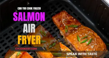 Perfectly Cooked Frozen Salmon: Air Fryer Magic