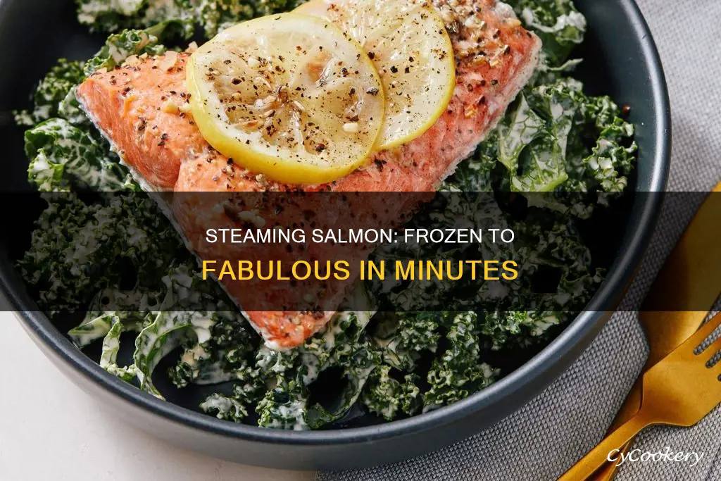 can you cook frozen salmon in a steamer