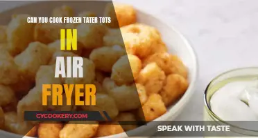 Crispy Tater Tot Transformation: Air Fryer Magic