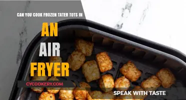 Crispy Tater Tot Transformation: Air Fryer Magic