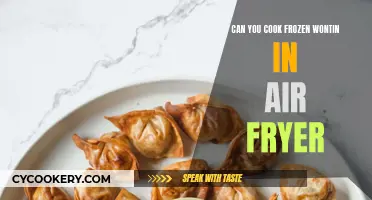 Air Fryer Wontons: Quick and Easy Frozen Treat