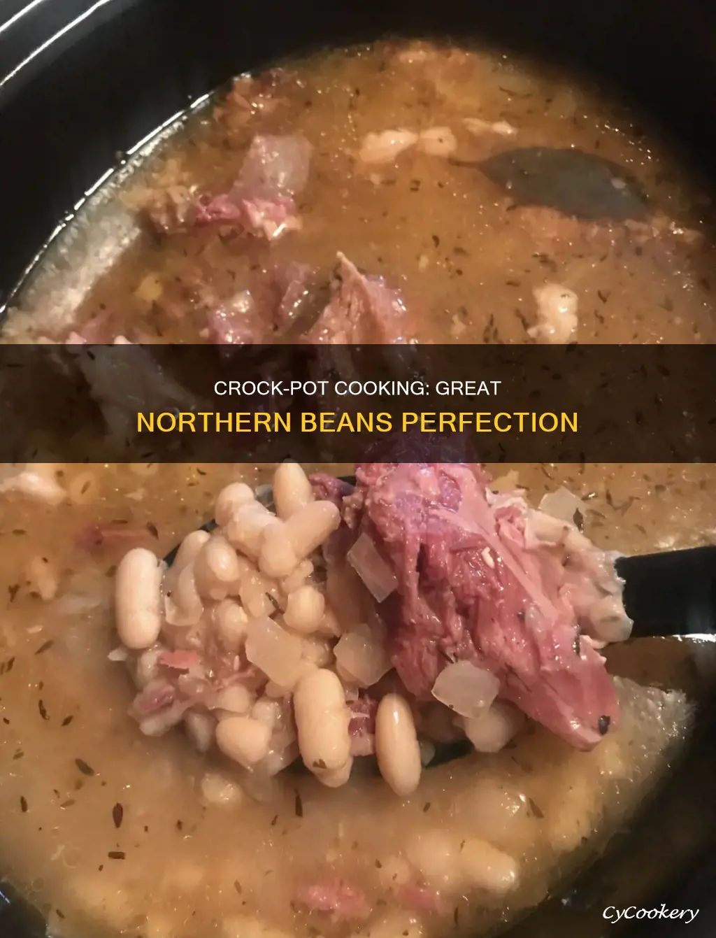 can you cook great northern beans in a crock pot