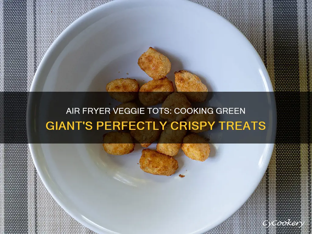 can you cook green giant veggie tots in air fryer