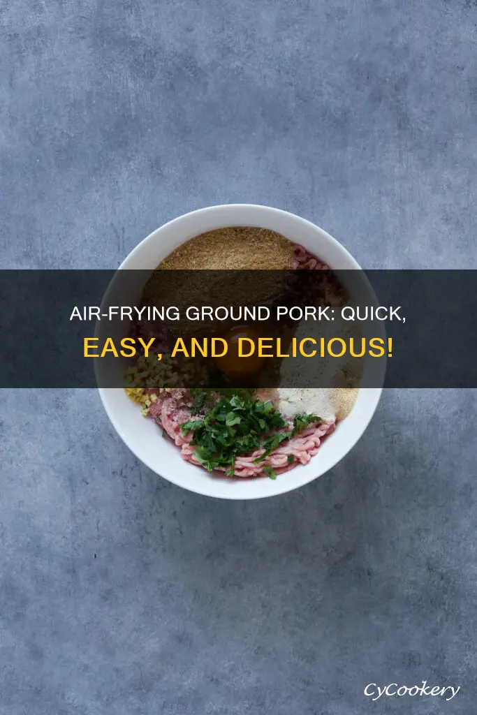 can you cook ground pork in an air fryer