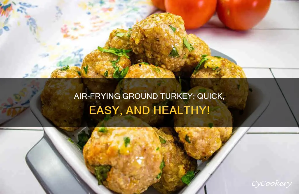 can you cook ground turkey in air fryer