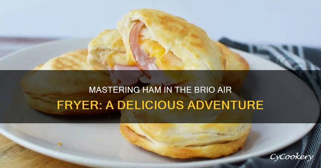 can you cook ham in the brio air fryer