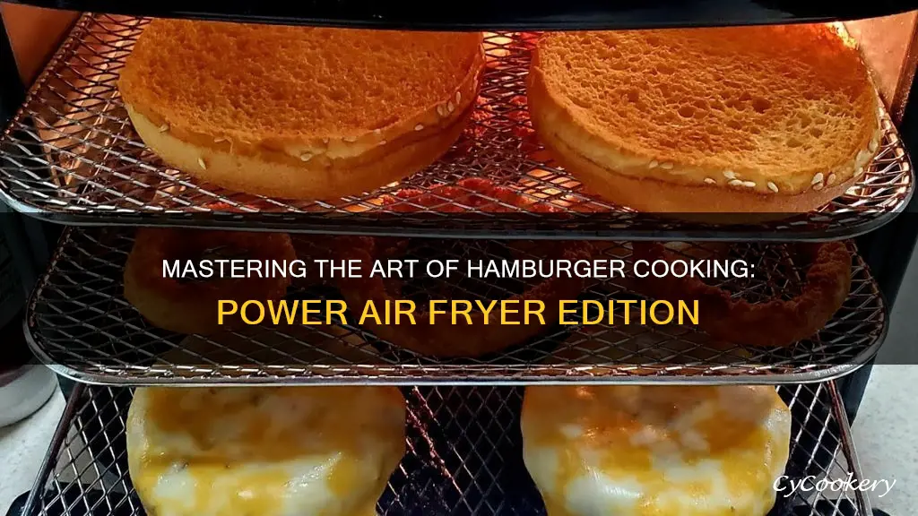 can you cook hamburgers in the power aur fryer