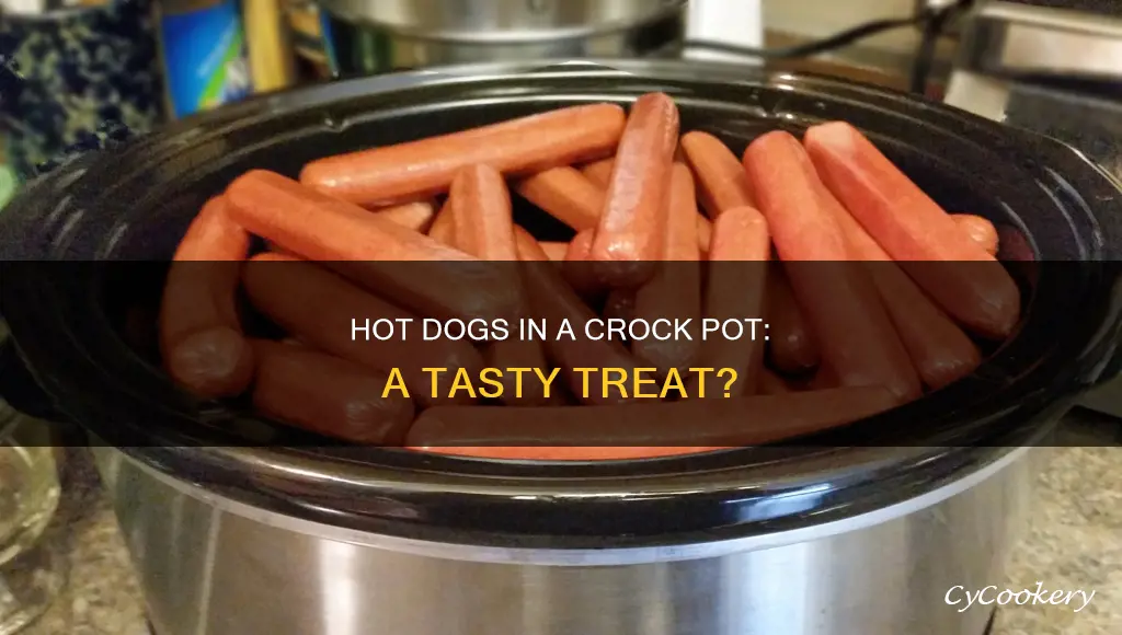 can you cook hot dogs in crock pot
