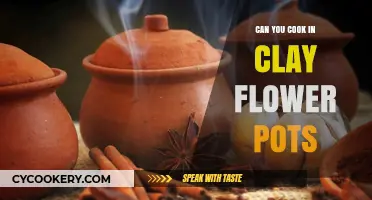 Clay Pot Cooking: Is It Safe?