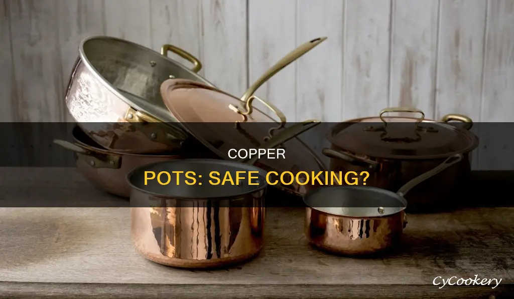 can you cook in copper pots