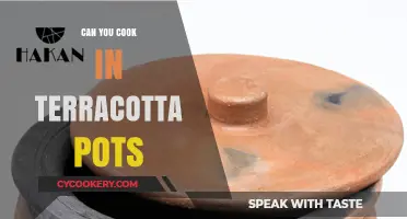 Terracotta Pots: Cooking with Ancient Clay