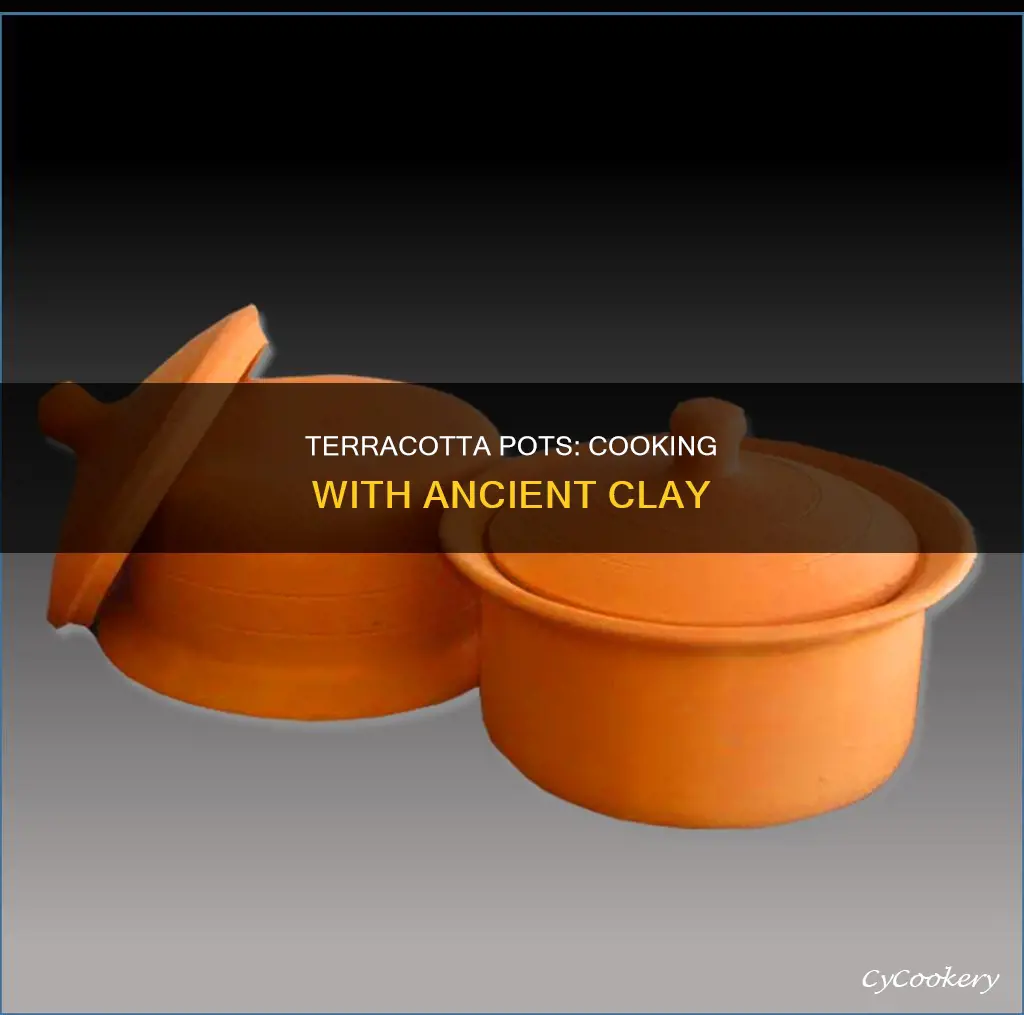 can you cook in terracotta pots