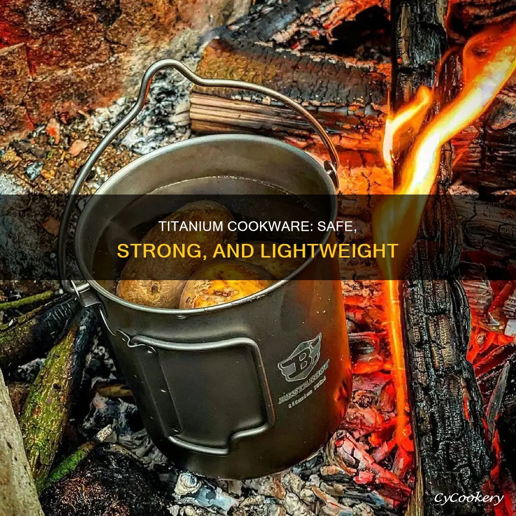 can you cook in titanium pot