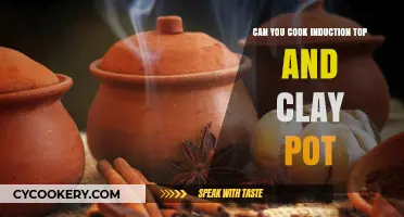 Induction Cooking with Clay Pots: Safe or Not?