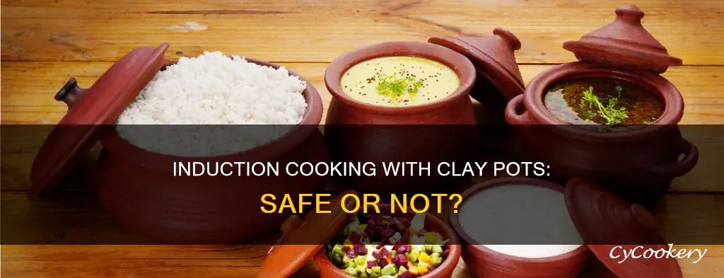 can you cook induction top and clay pot