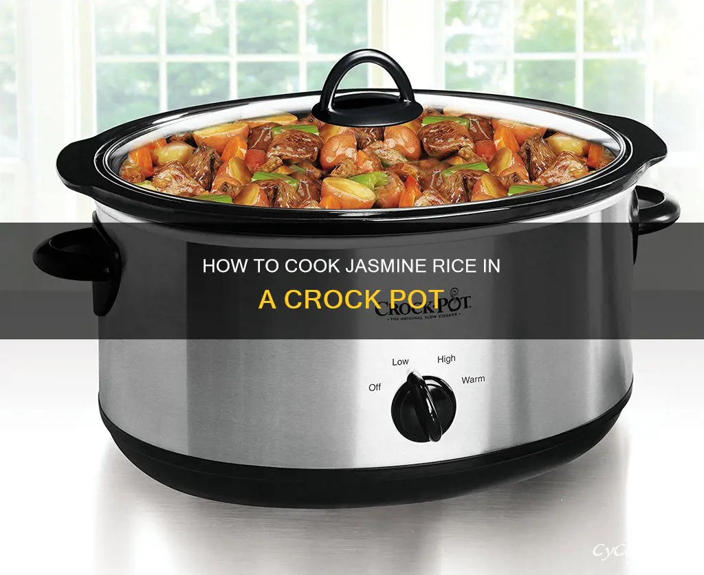 can you cook jasmine rice in a crock pot