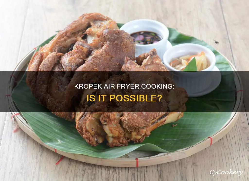 can you cook kropek in air fryer