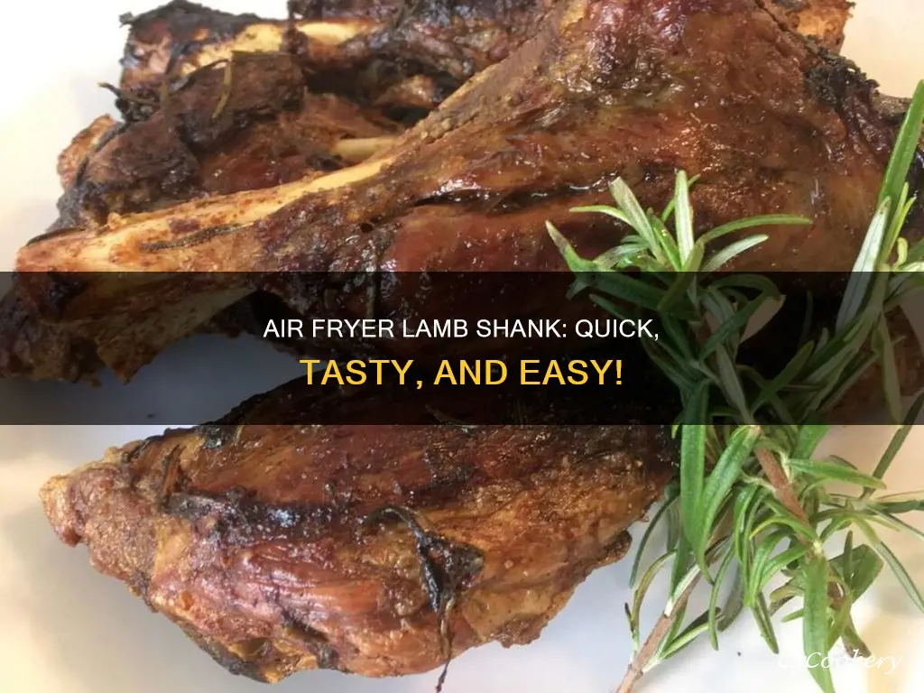 can you cook lamb shank in air fryer