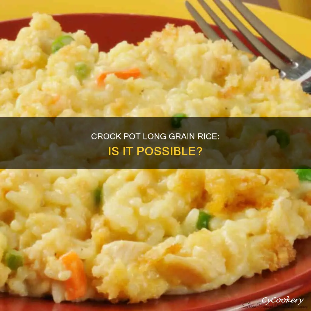 can you cook long grain rice in a crock pot