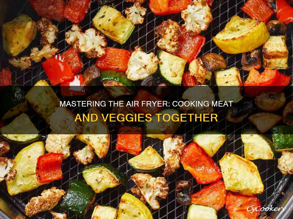 can you cook meat and veggies together in air fryer