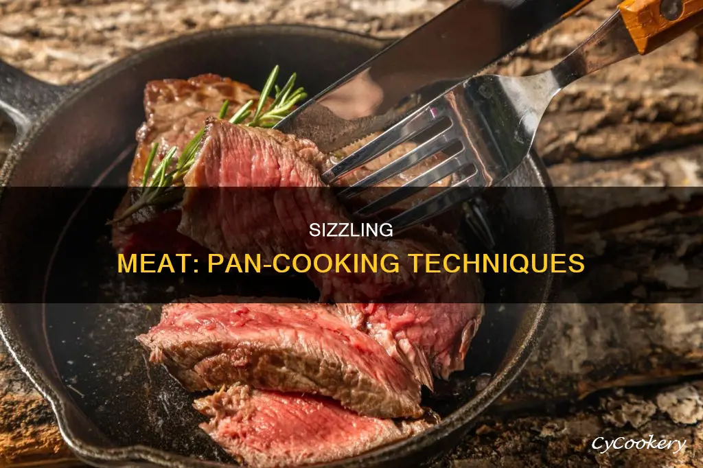 can you cook meat in a pan