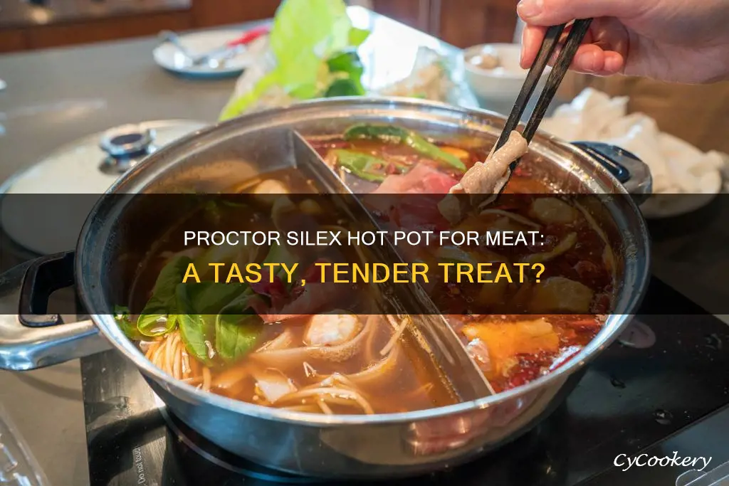 can you cook meat in a proctor silex hot pot