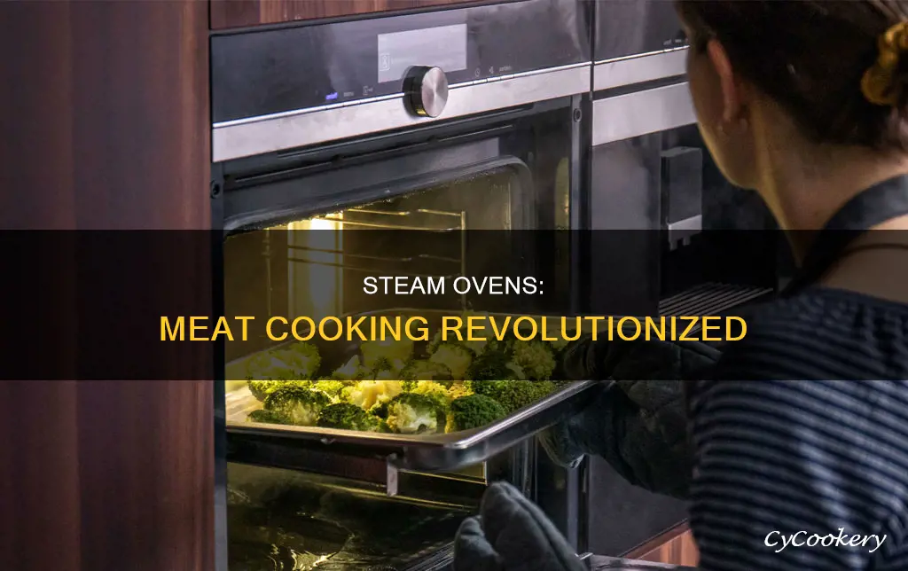 can you cook meat in a steam oven