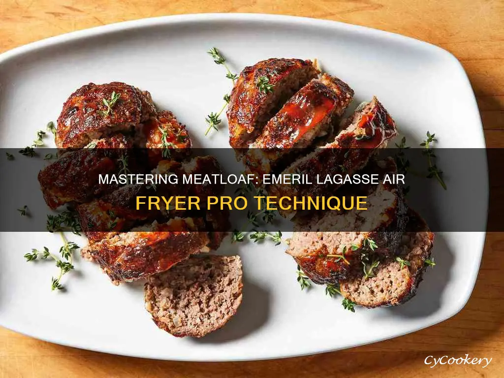 can you cook meatloaf in emeril lagasse air fryer pro