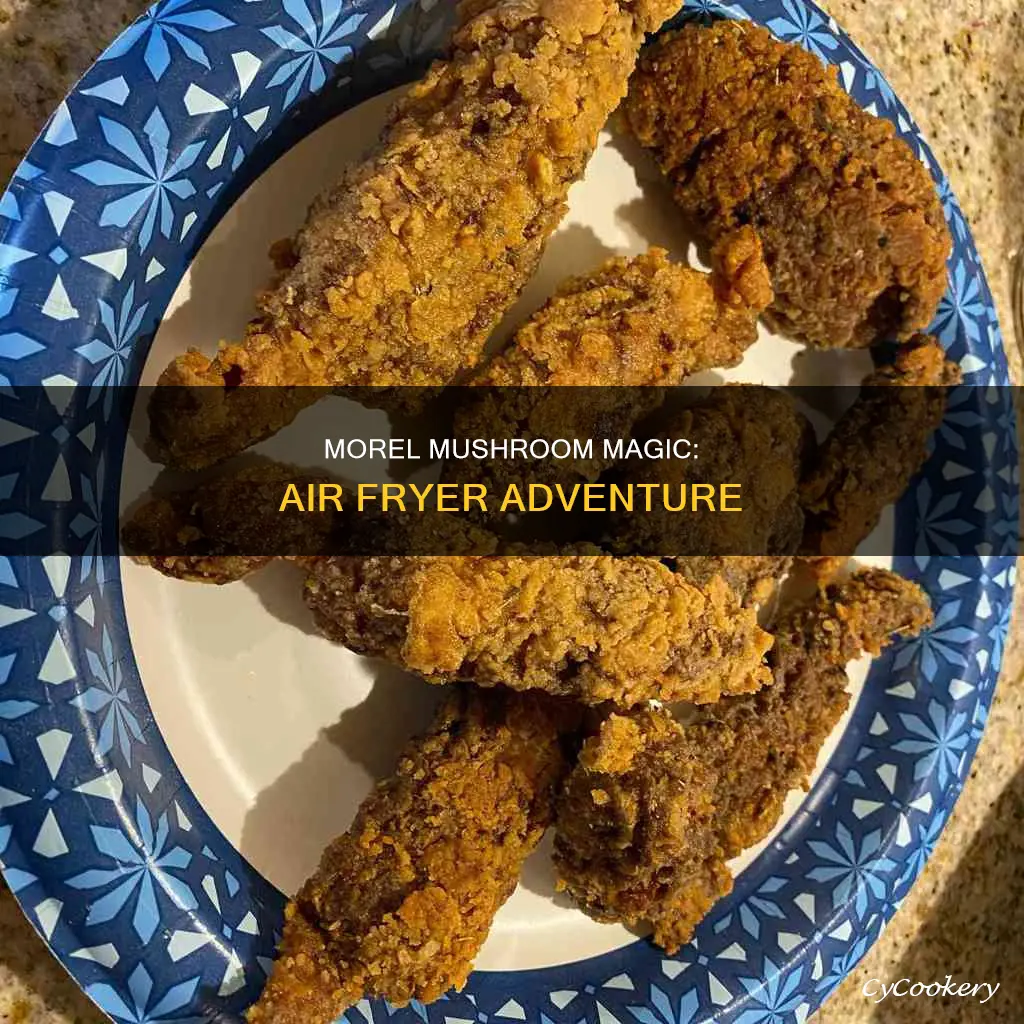 can you cook morel mushrooms in an air fryer