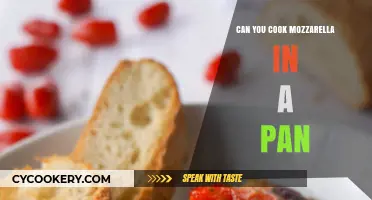 Cooking Mozzarella in a Pan: Is It Possible?