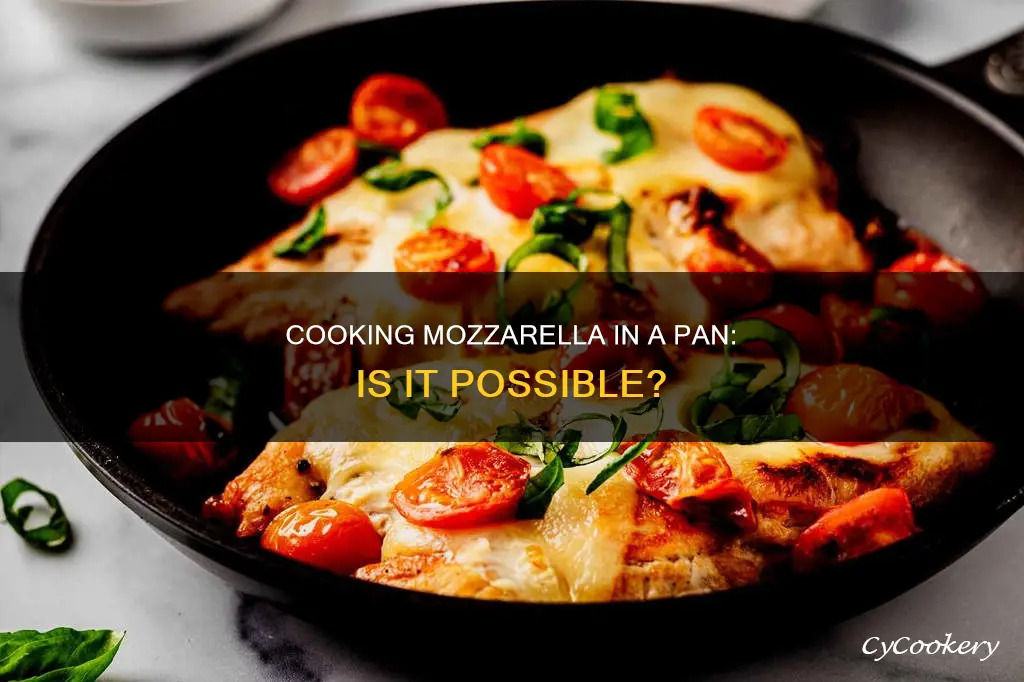 can you cook mozzarella in a pan