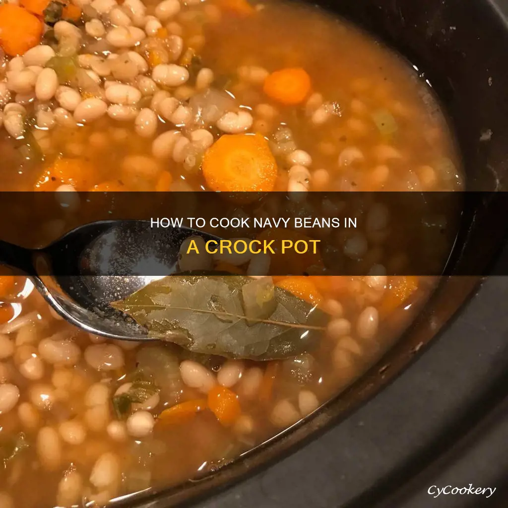 can you cook navy beans in a crock pot
