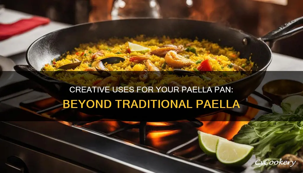 can you cook other things in a paella pan