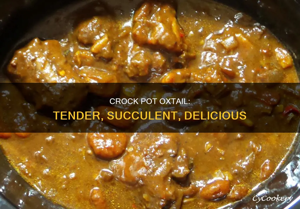 can you cook oxtail in a crock pot