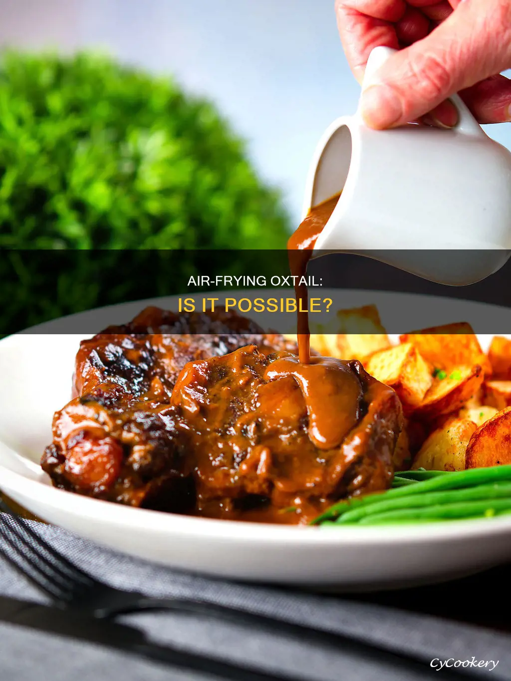 can you cook oxtail in an air fryer