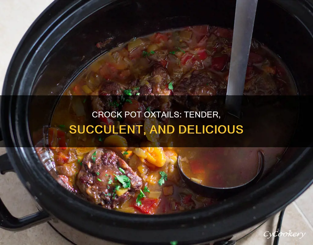 can you cook oxtails in a crock pot
