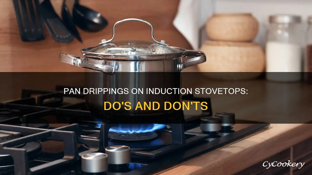 can you cook pan drippings on an induction stovetop