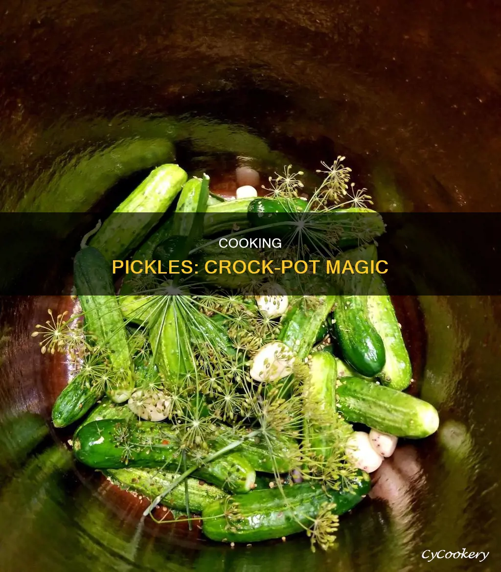 can you cook pickles in a crock pot