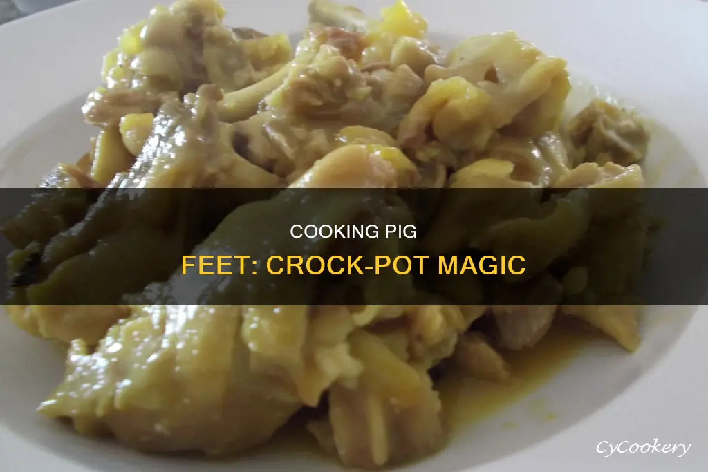 can you cook pig feet in a crock pot