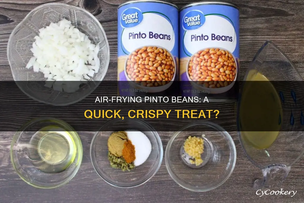 can you cook pinto beans in an air fryer