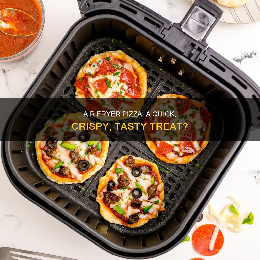 can you cook pizza w the newair fryer