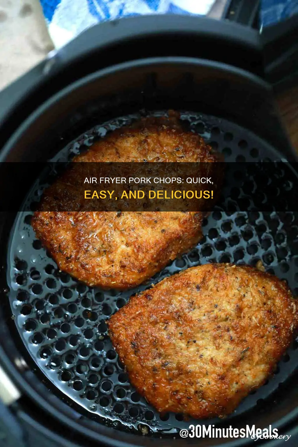 can you cook pork chop in air fryer