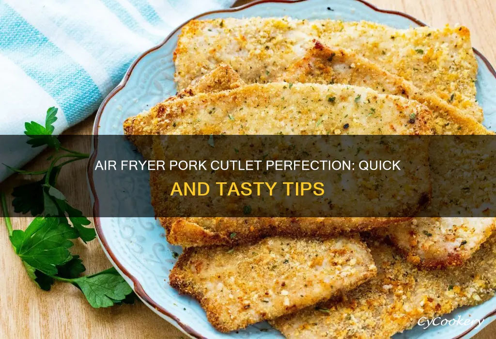 can you cook pork cutlets in an air fryer