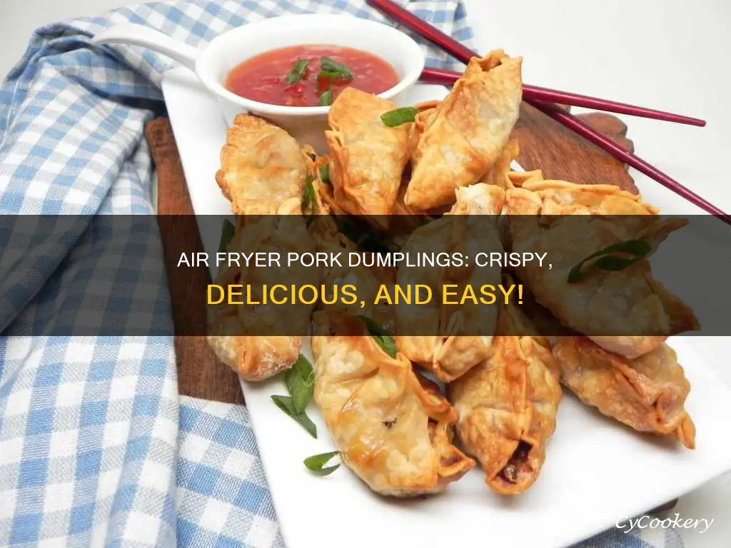 can you cook pork dumplings in an air fryer