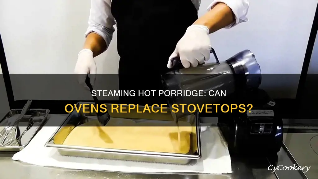 can you cook porridge in a steam oven