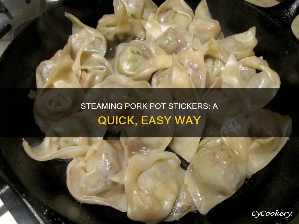 can you cook port pot stickers with a steamer